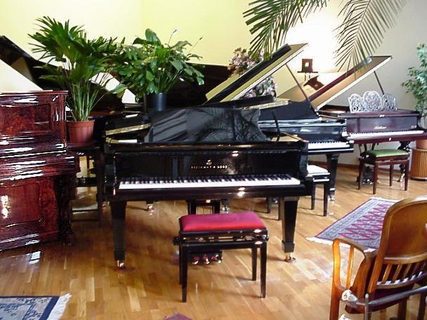 Fluegel und Pianos von Friedrich Howaniaetz
